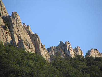 Dentelles de Montmirail