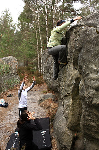 Fontainbleau avril 2009 15