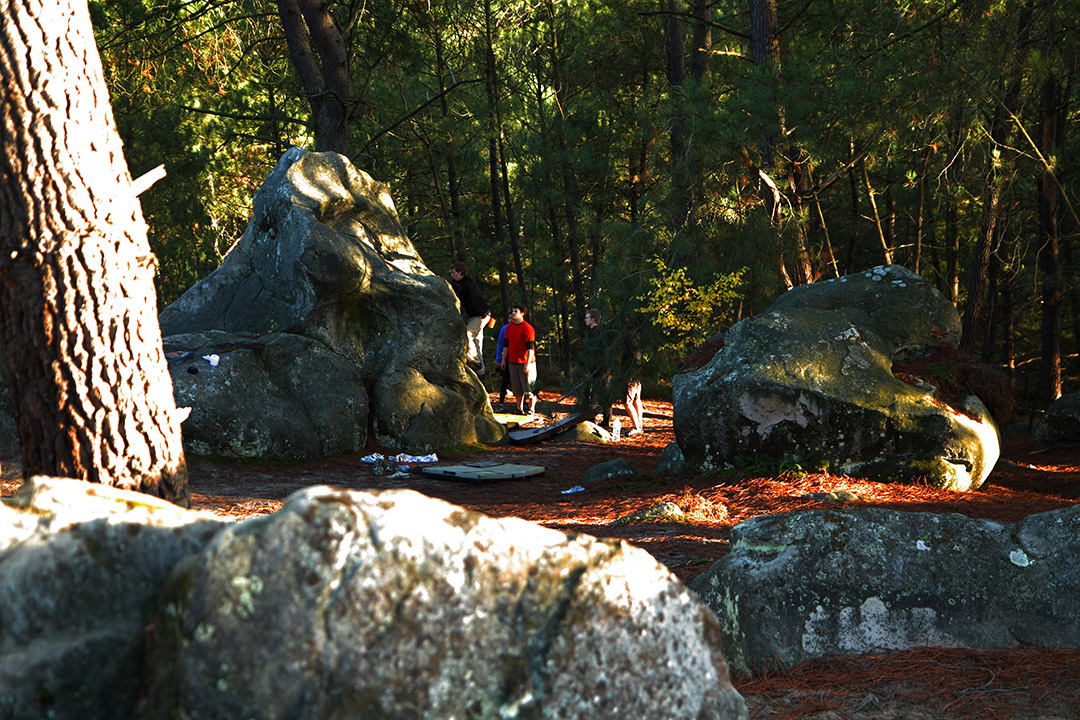 Fontainebleau - Toussain 2010 8