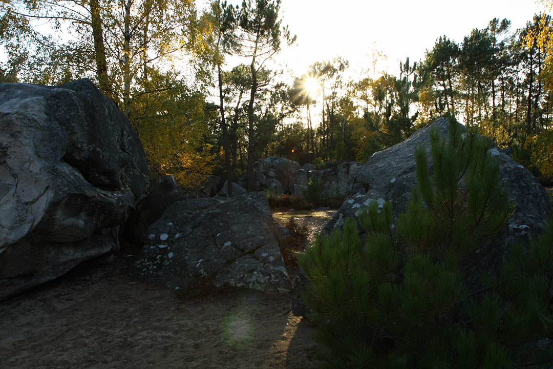 Fontainebleau - Toussain 2010 9