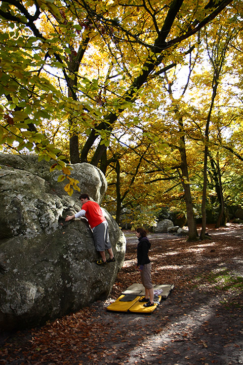 Fontainebleau - Toussain 2010 33