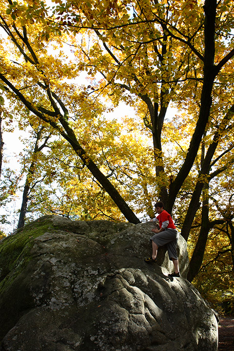 Fontainebleau - Toussain 2010 34