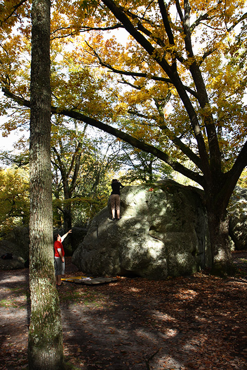 Fontainebleau - Toussain 2010 38