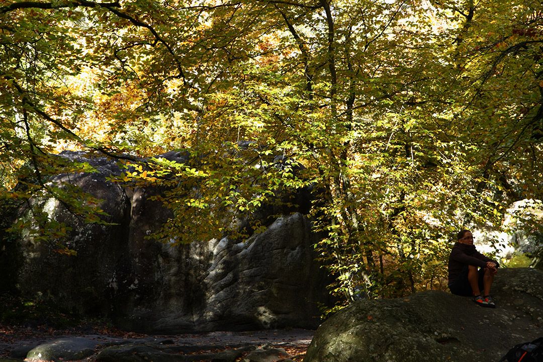 Fontainebleau - Toussain 2010 39