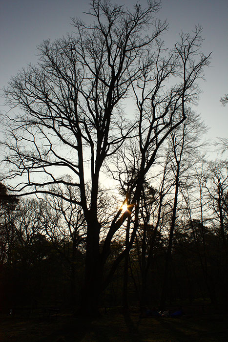 Fontainebleau Pâques 3