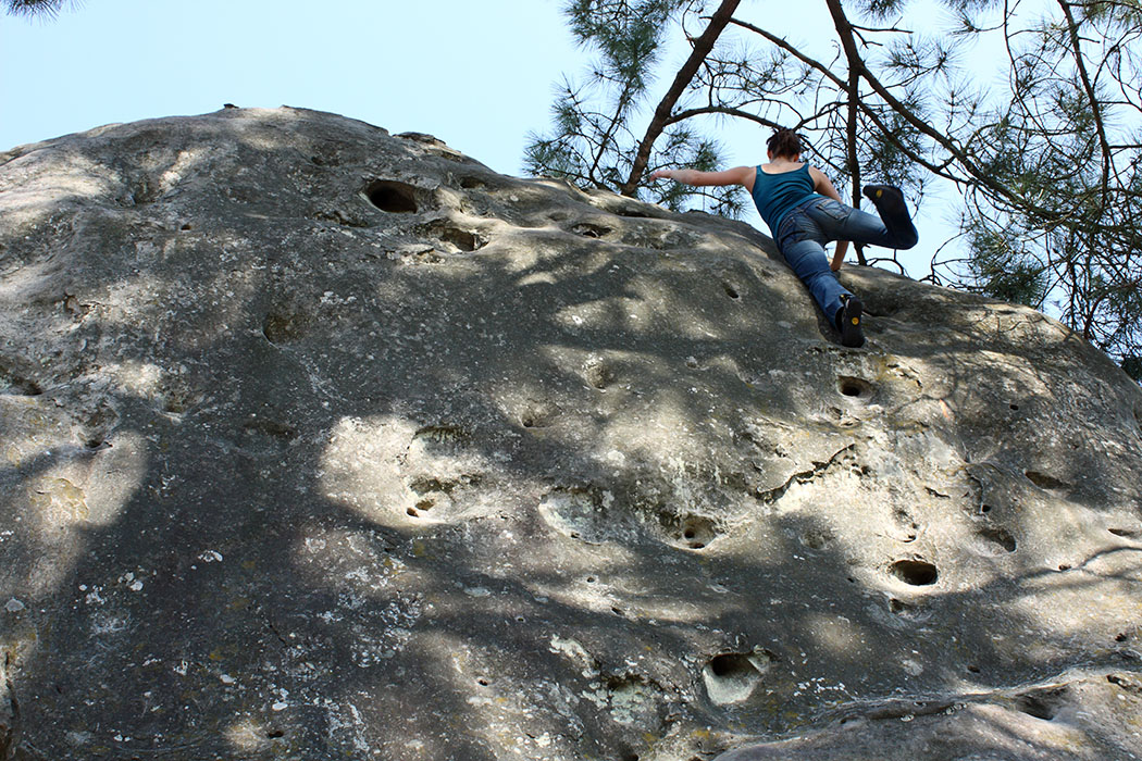 Fontainebleau Pâques 32