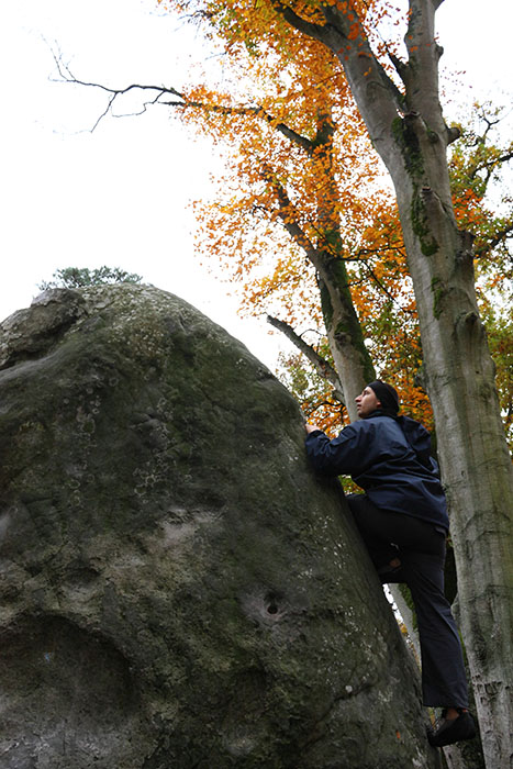 Fontainebleau Toussain 2009 0