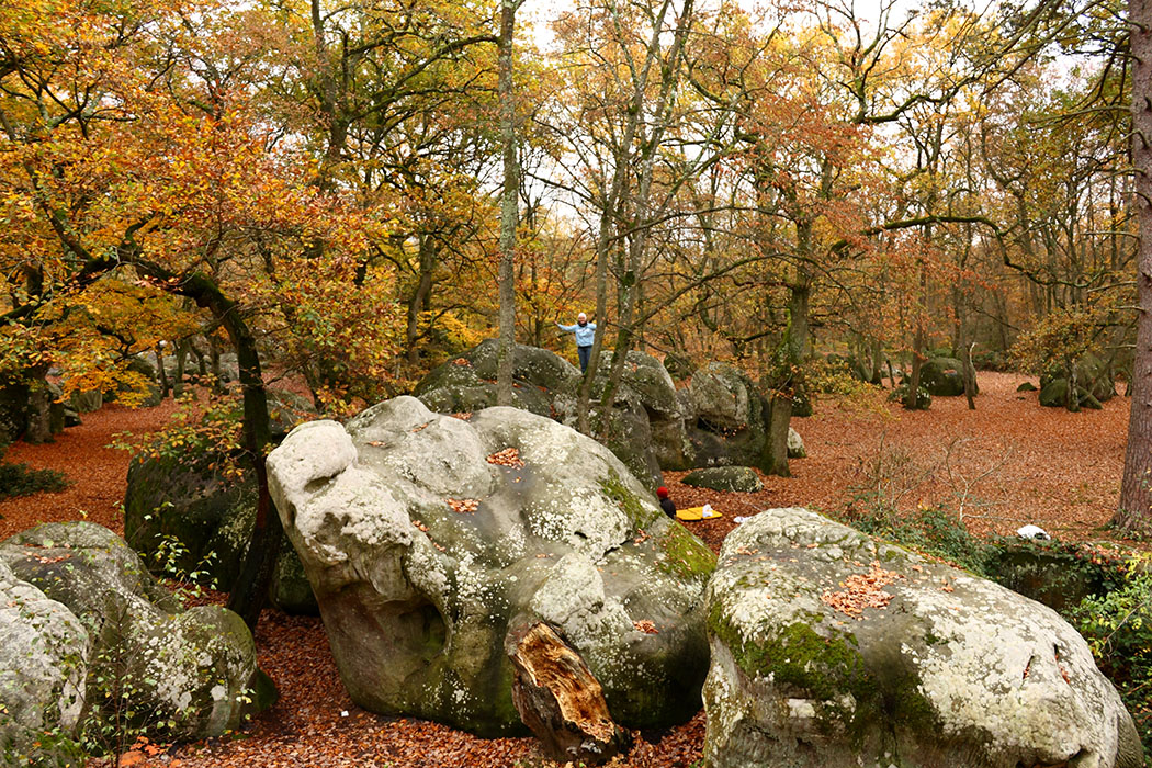 Fontainebleau Toussain 2009 4