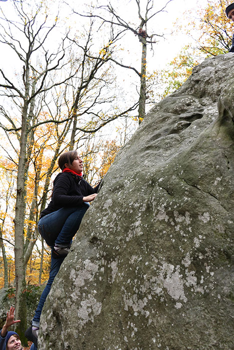 Fontainebleau Toussain 2009 6