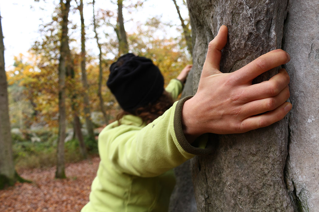 Fontainebleau Toussain 2009 9