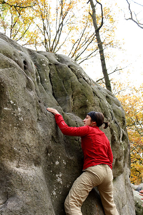 Fontainebleau Toussain 2009 11