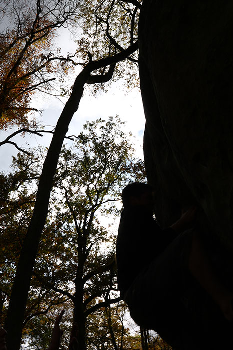 Fontainebleau Toussain 2009 13