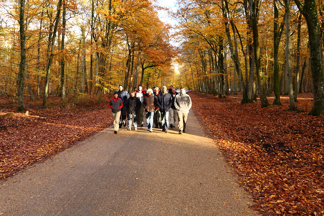 Fontainebleau Toussain 2009 14