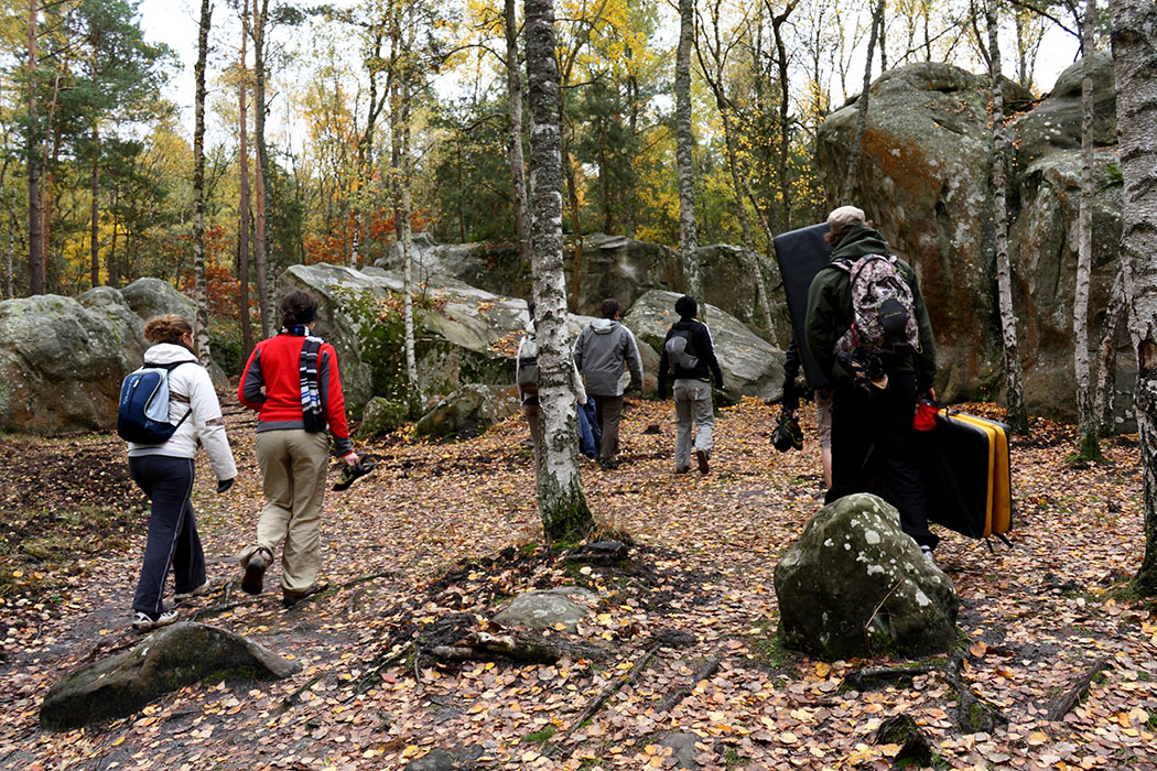 Fontainebleau Toussain 2009 18