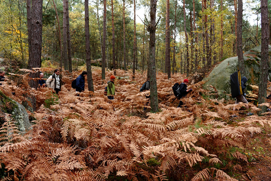 Fontainebleau Toussain 2009 19