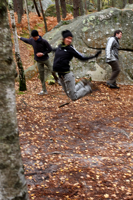 Fontainebleau Toussain 2009 20