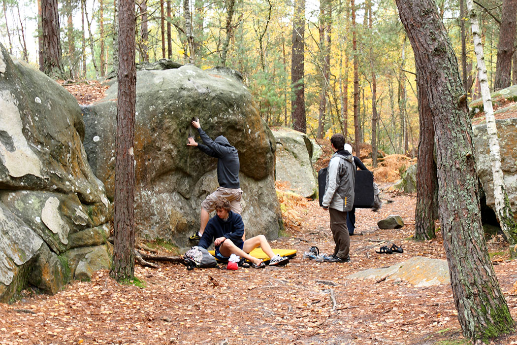 Fontainebleau Toussain 2009 21