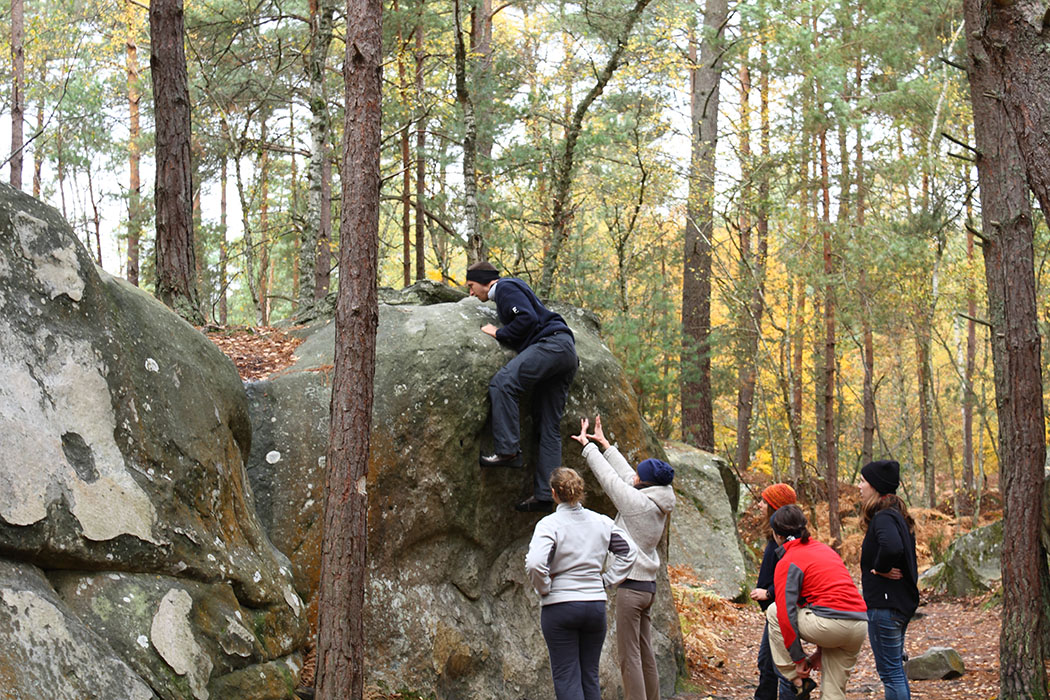 Fontainebleau Toussain 2009 24