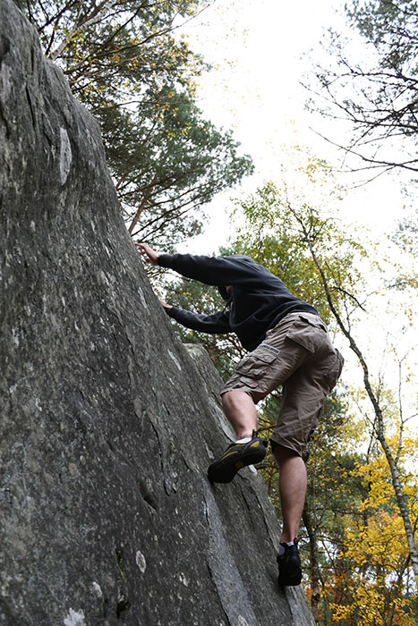 Fontainebleau Toussain 2009 38