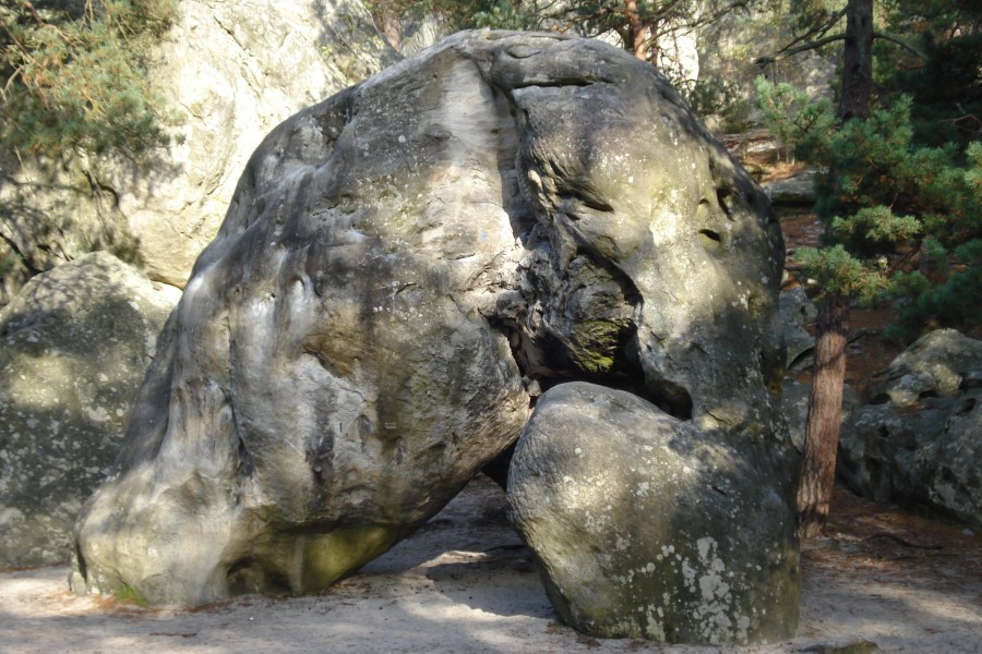 Fontainebleau Toussaint 2008 4