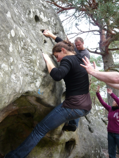 Fontainebleau Toussaint 2008 10