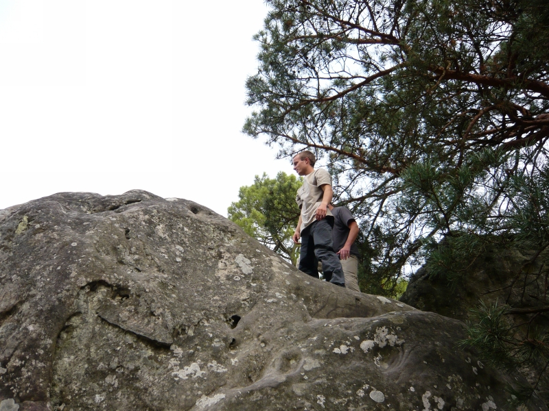 Fontainebleau Toussaint 2008 11