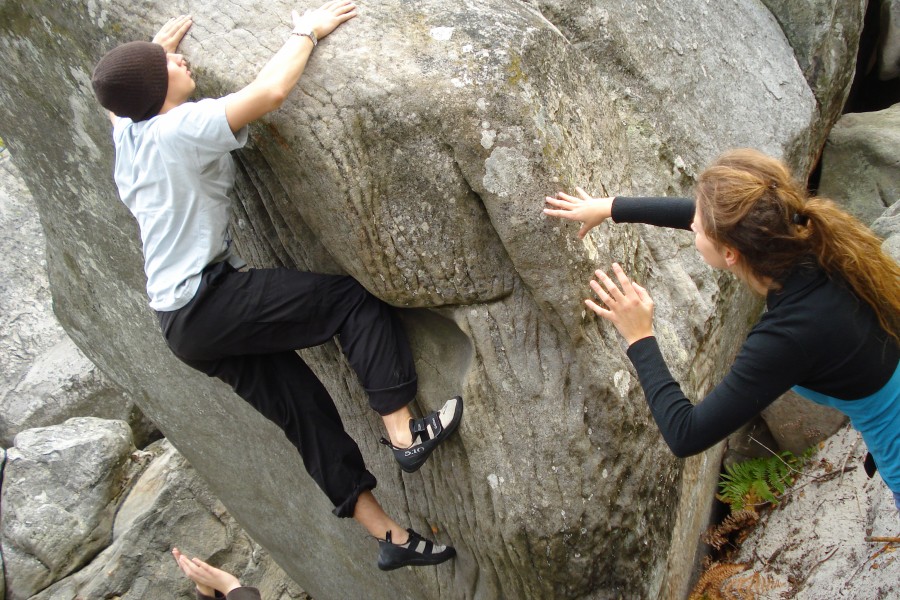 Fontainebleau Toussaint 2008 13