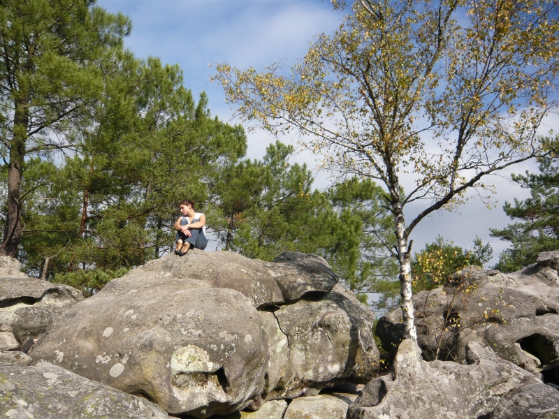 Fontainebleau Toussaint 2008 14