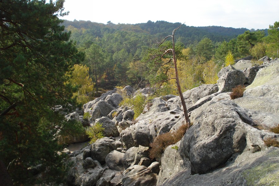 Fontainebleau Toussaint 2008 17