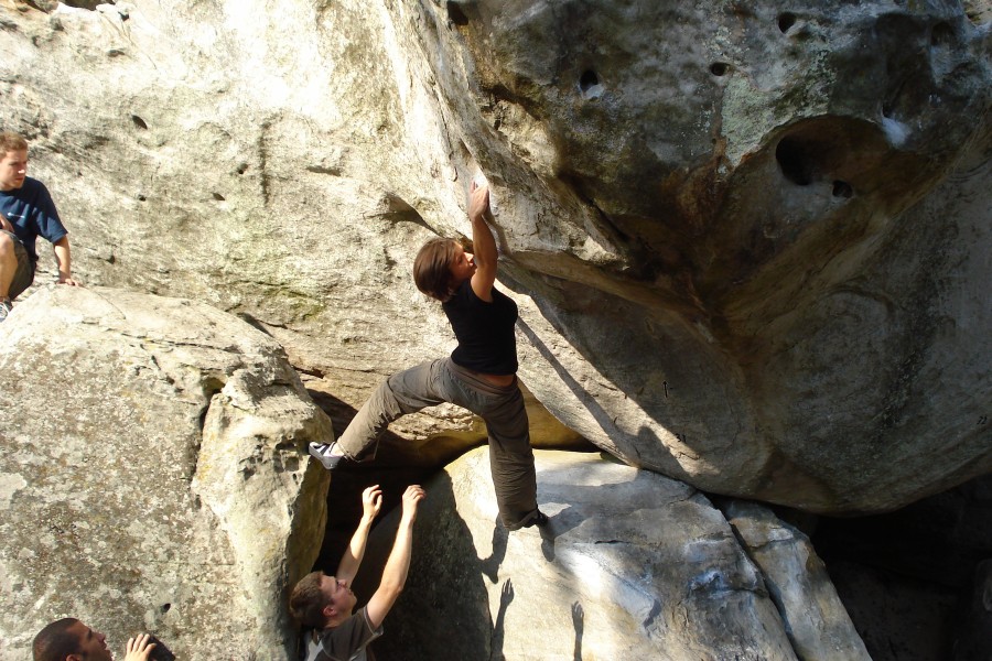 Fontainebleau Toussaint 2008 20