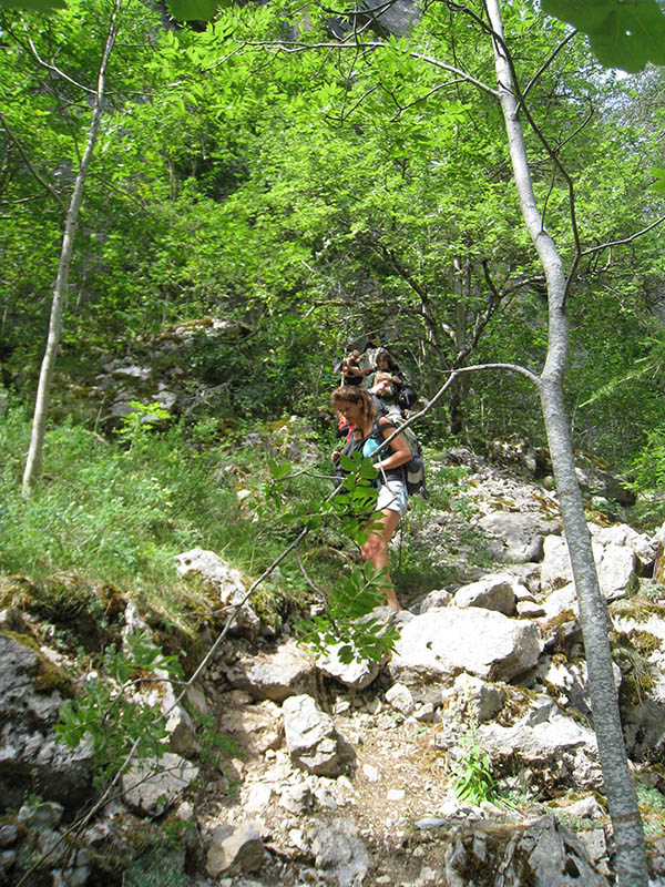 Freissinières 2010 7
